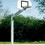 Basket Potası 43