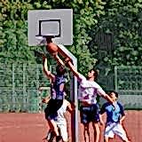 Basket Potası 47
