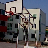 Basket Potası 13