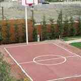 Basket Potası 19