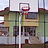 Basket Potası 7