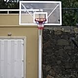 Basket Potası 9